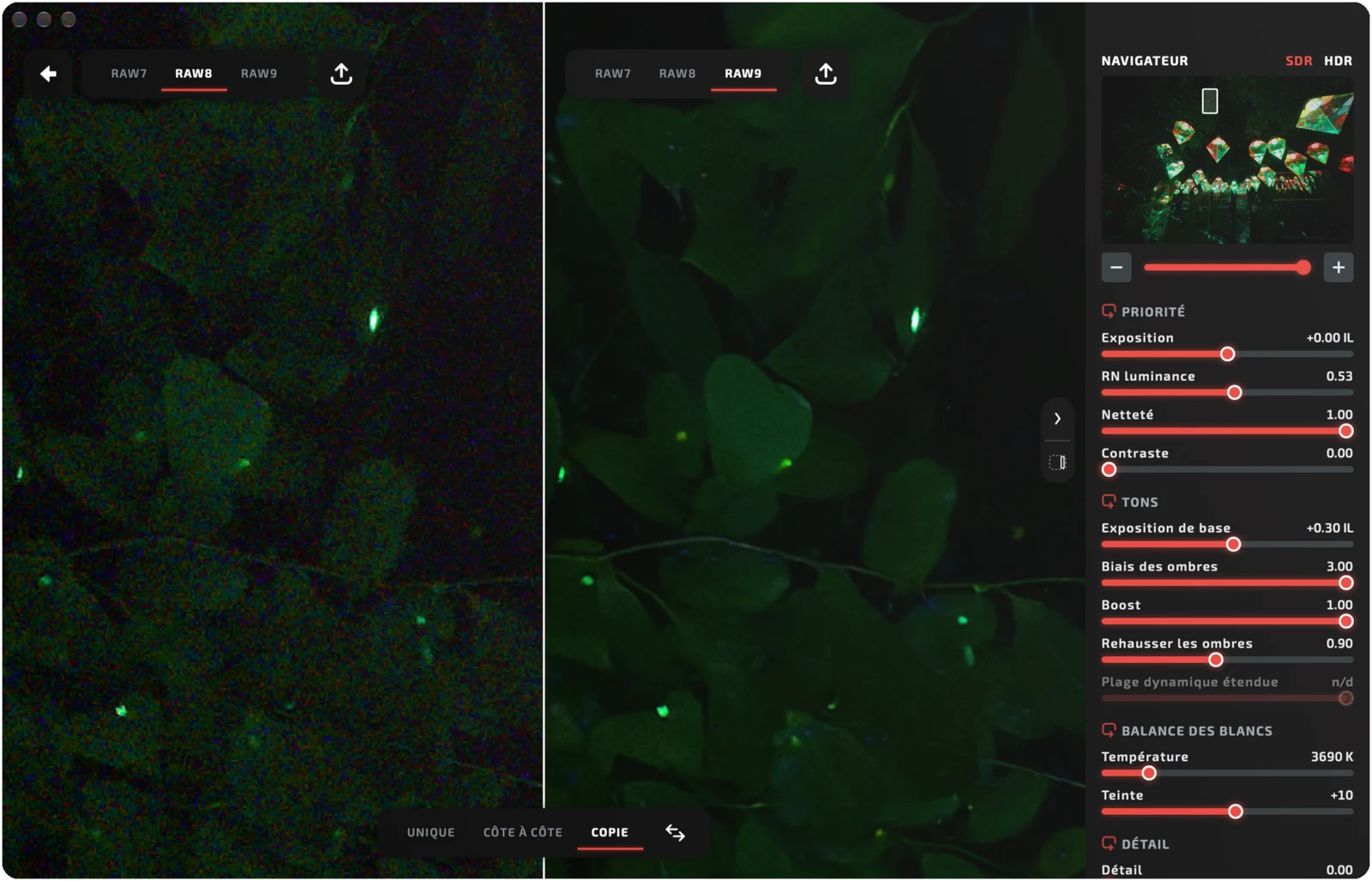 RAWtoy comparant les décodeurs RAW 8 et RAW 9 sur la même photo, avec le panneau de réglages à côté